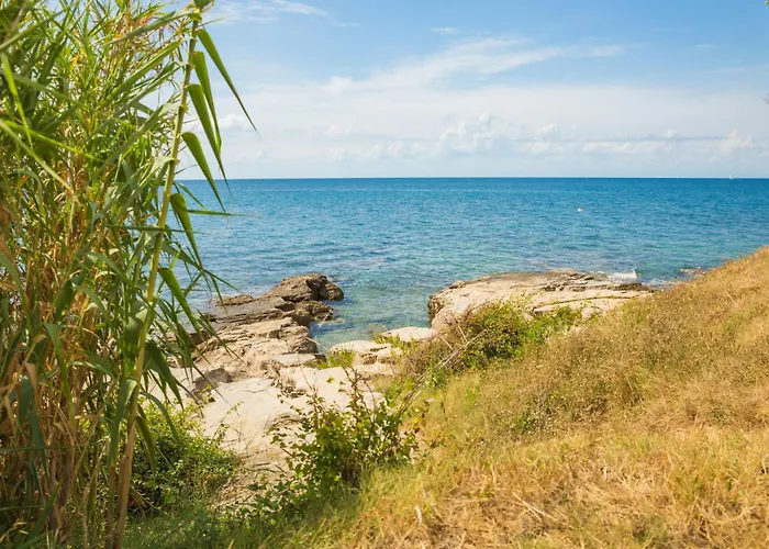 Enea 1 By Interhome * 사부드리자