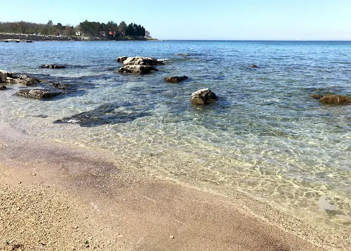 Enea 1 By Interhome Apartment *